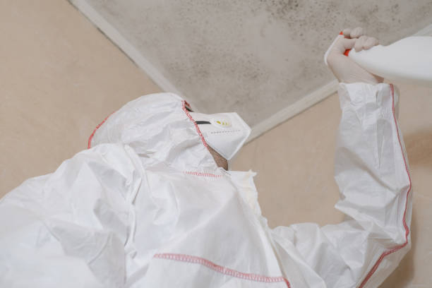 Mold Removal and Inspection in Avondale, PA